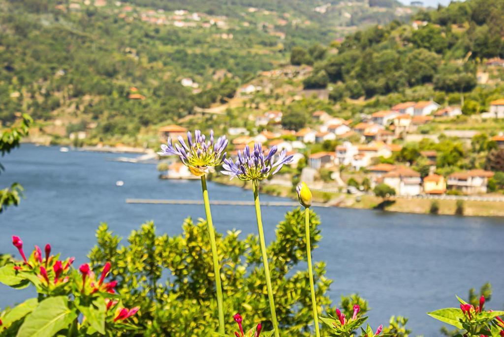 Villa Casa Da Torre, Porto Manso à Ribadouro Extérieur photo