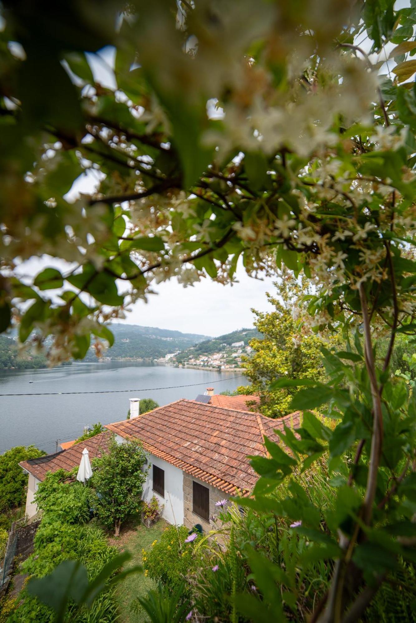 Villa Casa Da Torre, Porto Manso à Ribadouro Extérieur photo